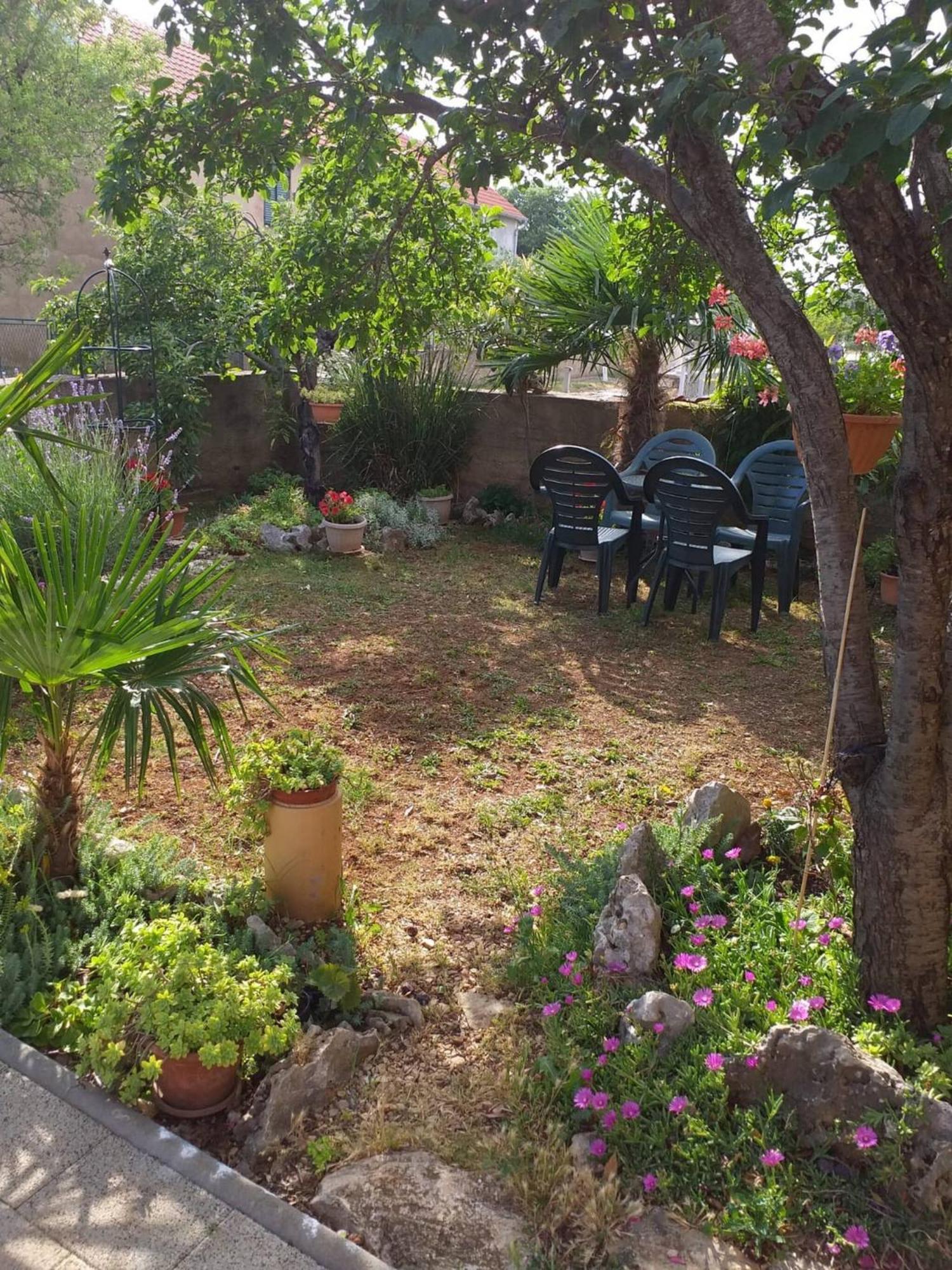 Rural Apartment Ante Drniš Exteriér fotografie