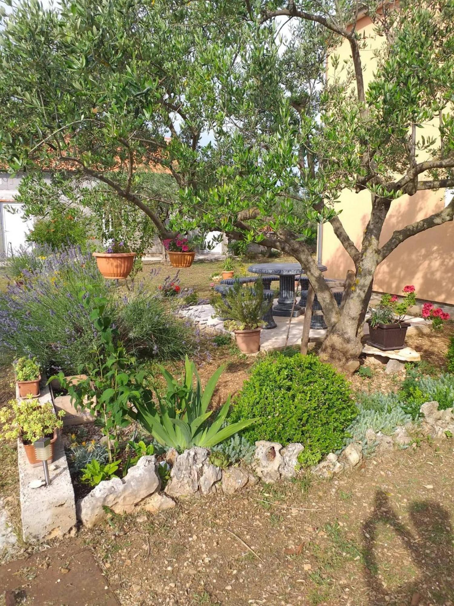 Rural Apartment Ante Drniš Exteriér fotografie